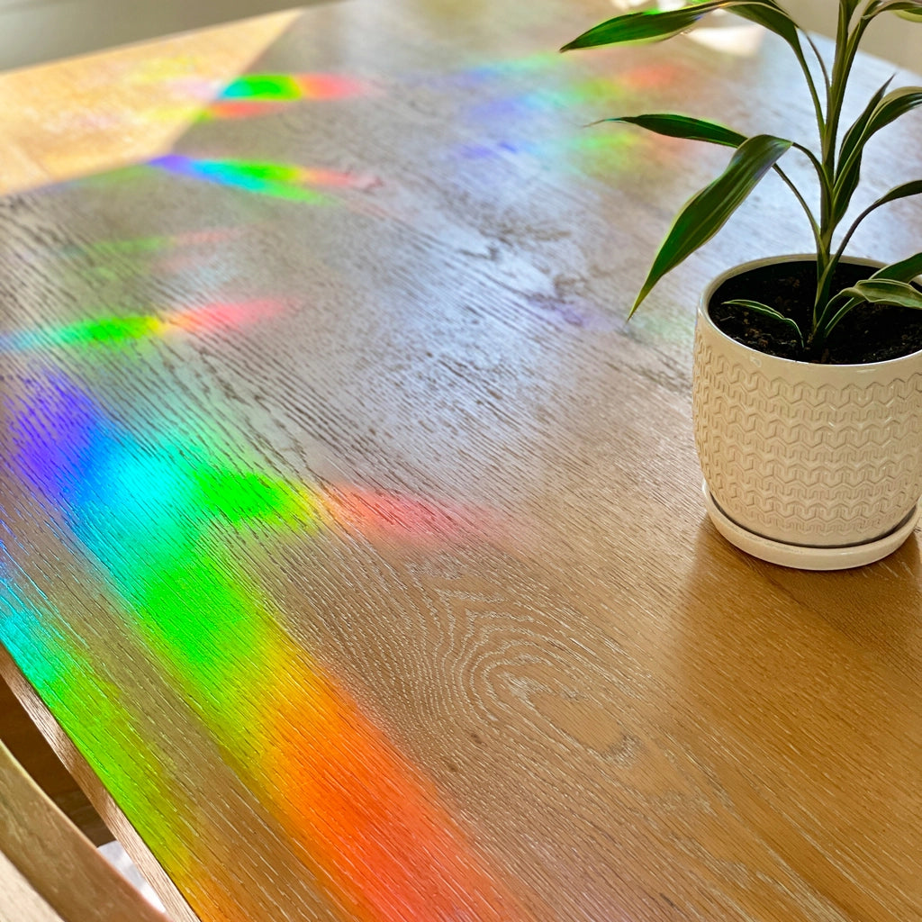 Suncatcher Sticker 'Monstera'