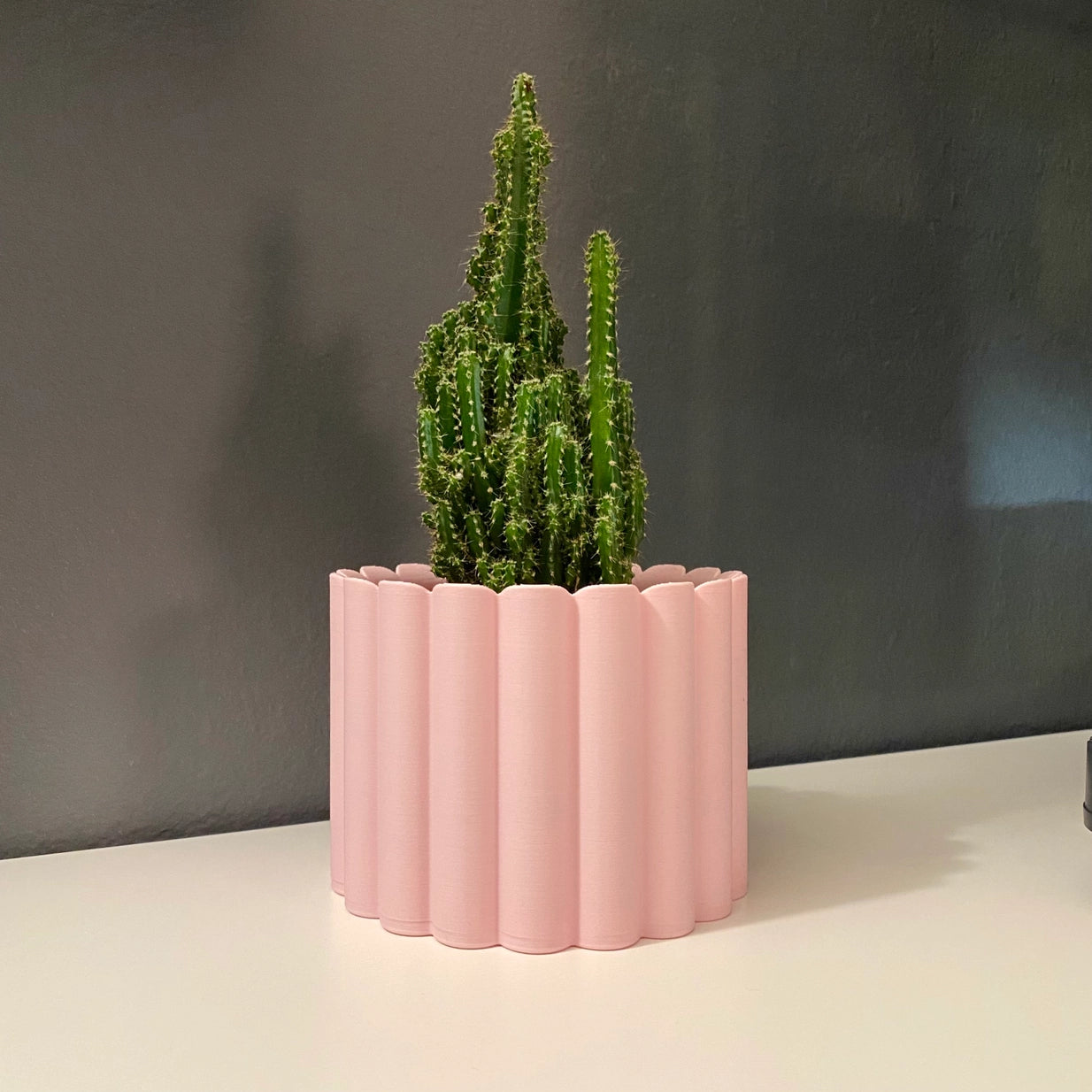 3D Printed 4" Flower Rib Pot - Soft Pink