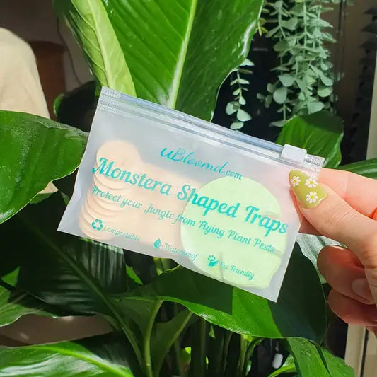 Green Sticky Traps 'Monstera Leaf'