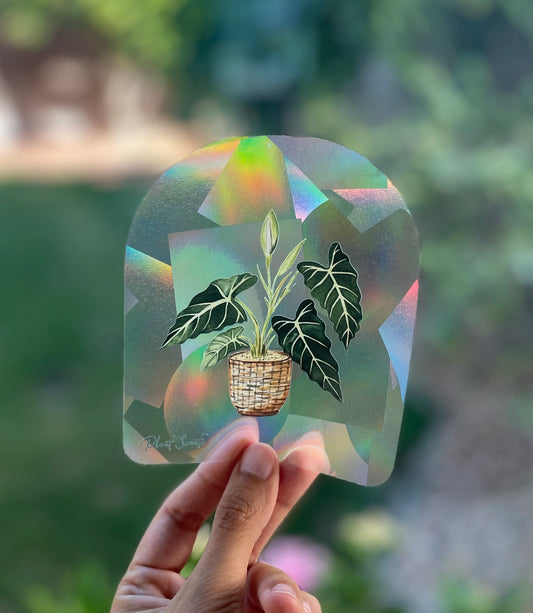 Suncatcher Sticker 'Alocasia'