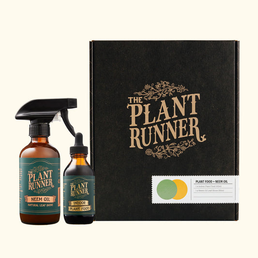 Plant Care Essentials Kit