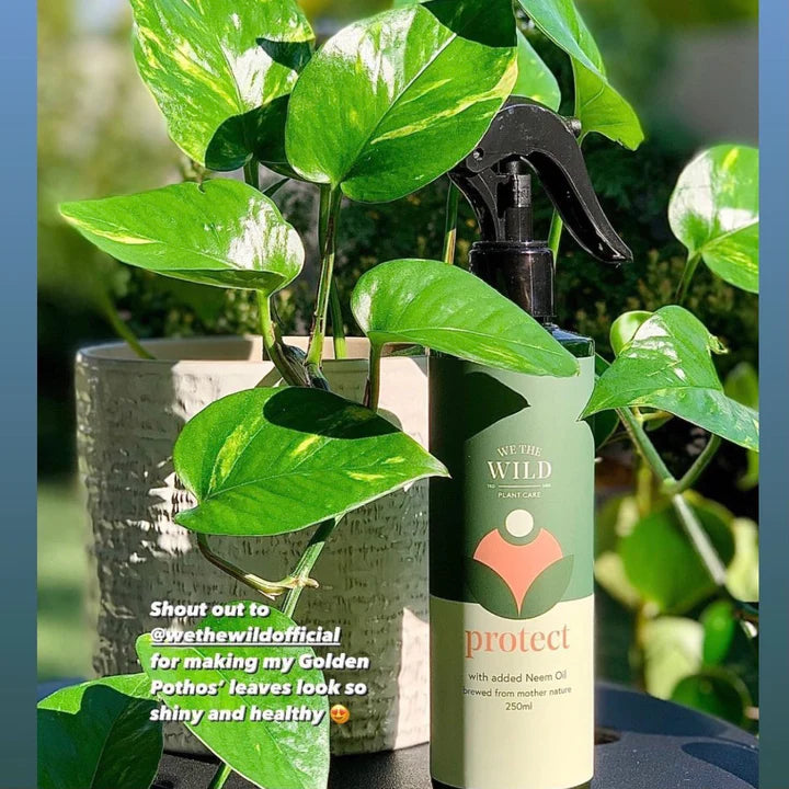 Protect Spray with Neem