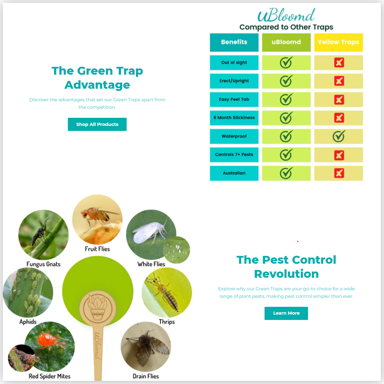 Green Sticky Traps 'Monstera Leaf'