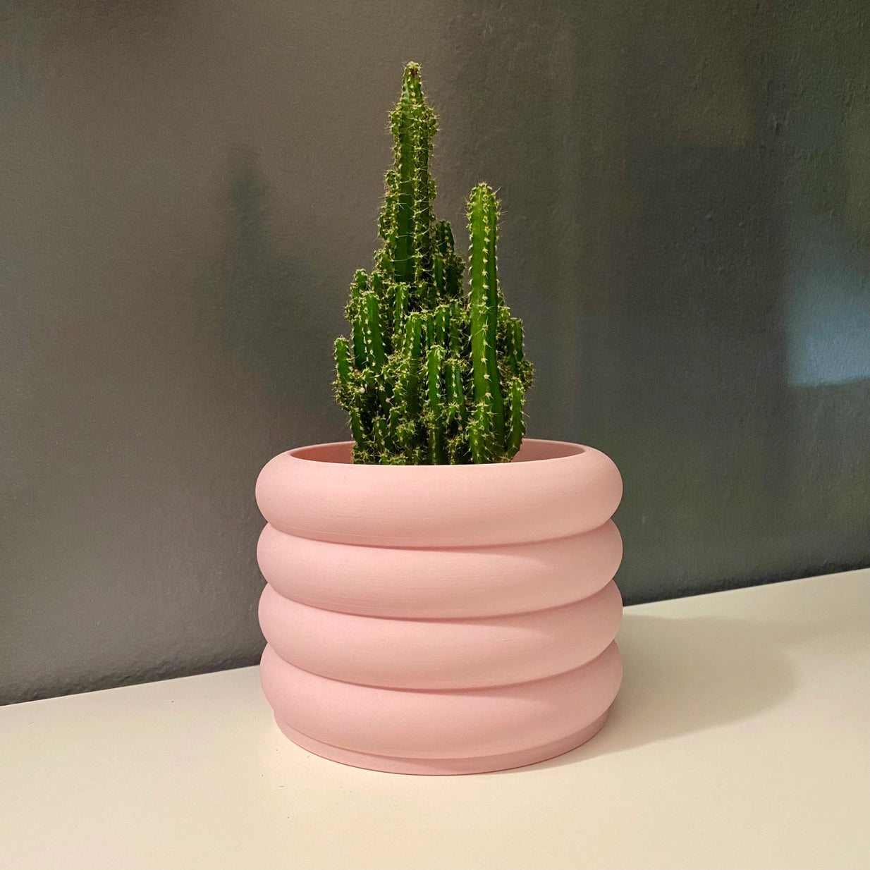 Pots & Propagation