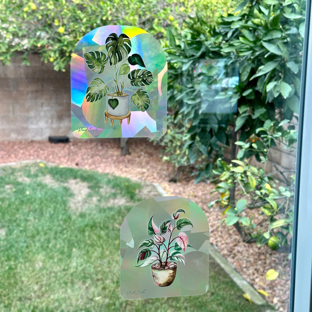 Suncatcher Sticker 'Monstera'