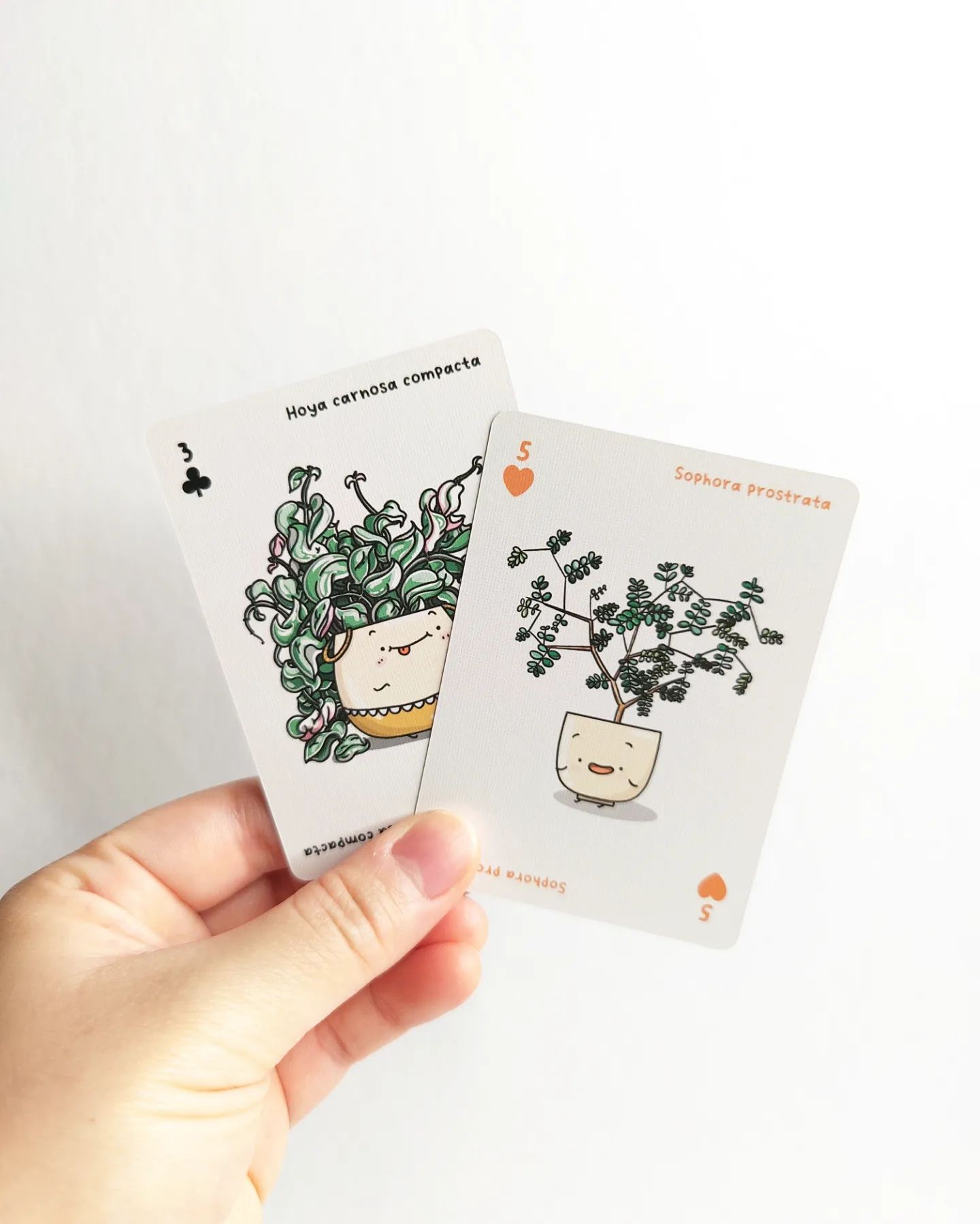 house of plants the card game Full House of Plants Playing Cards – Ivy Jungle