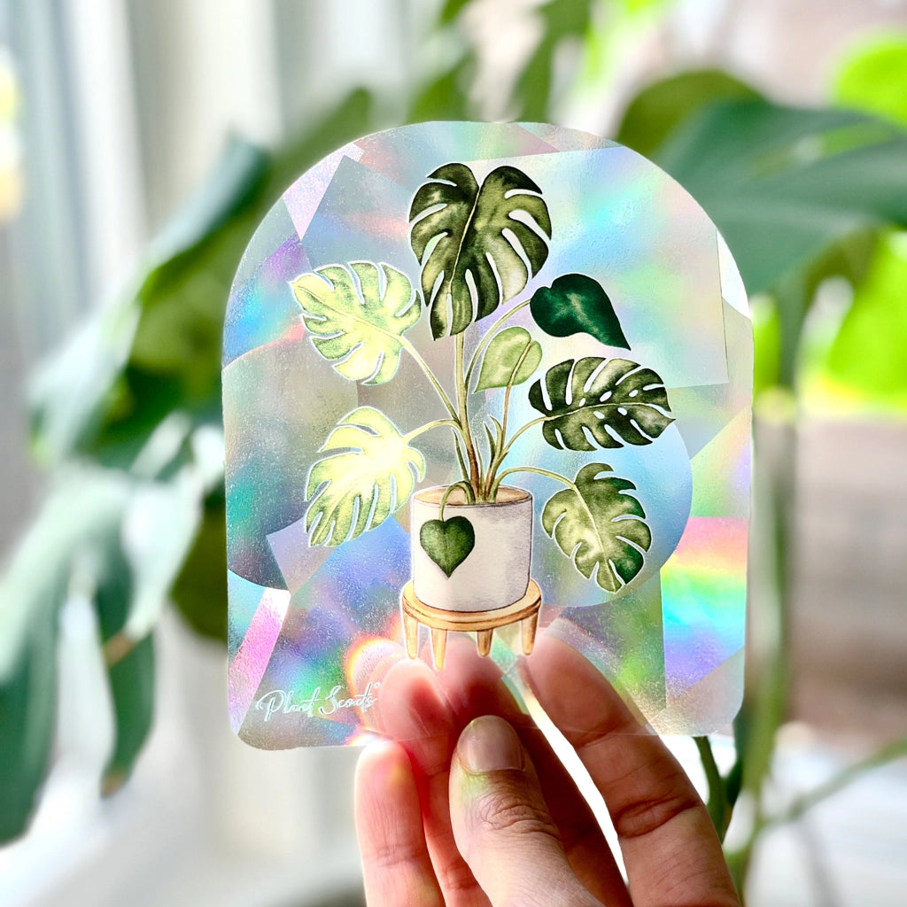 Suncatcher Sticker 'Monstera'