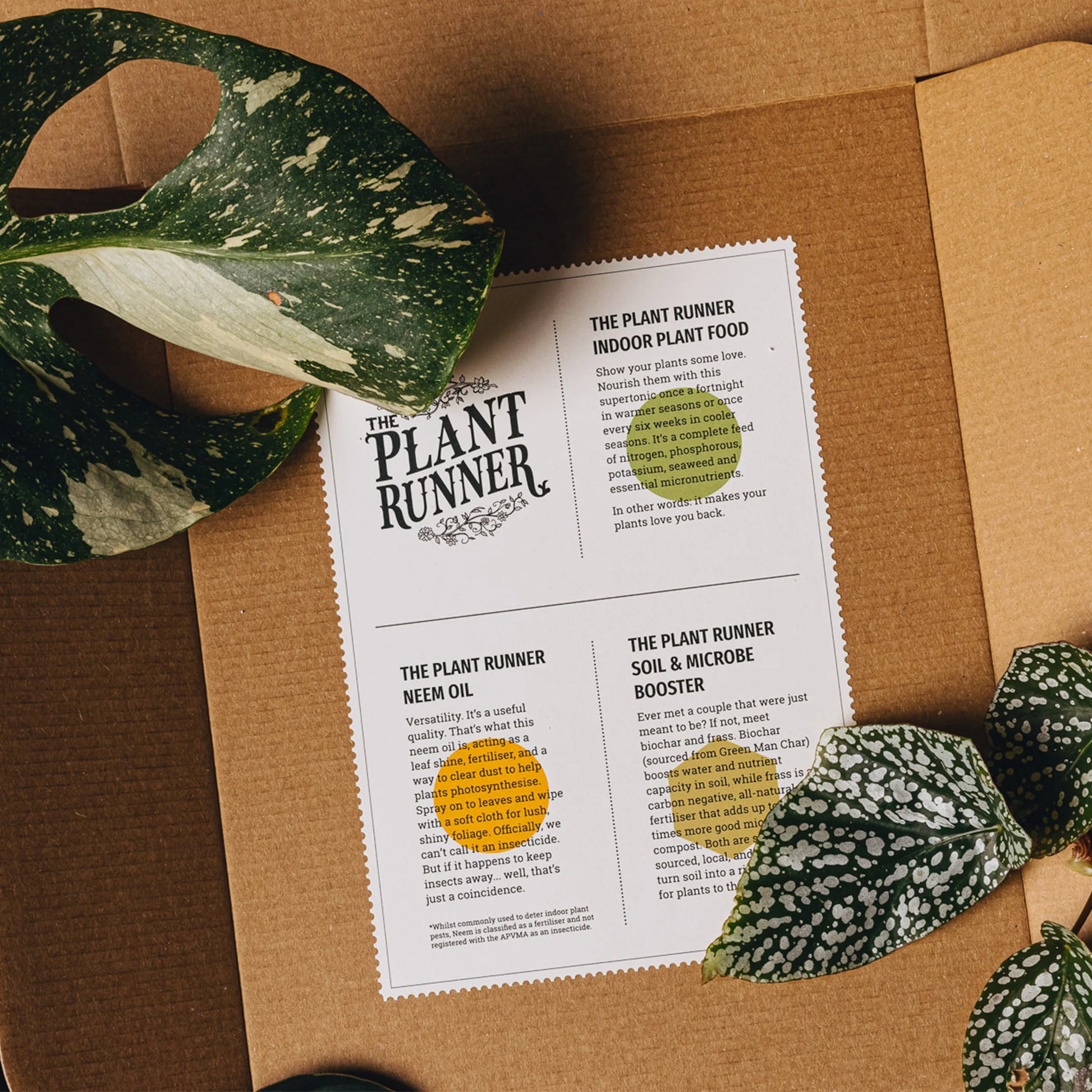 leaf supply a guide to keeping happy house plants Plant Care Booster Kit – Ivy Jungle